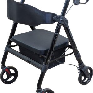 Deluxe Bariatric Rollator - Image 1