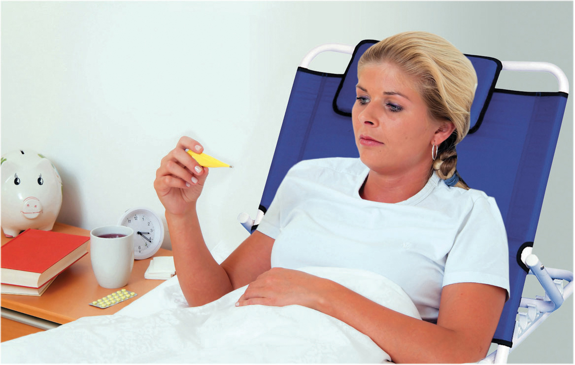 Birling Bed Back Rest - Image 2